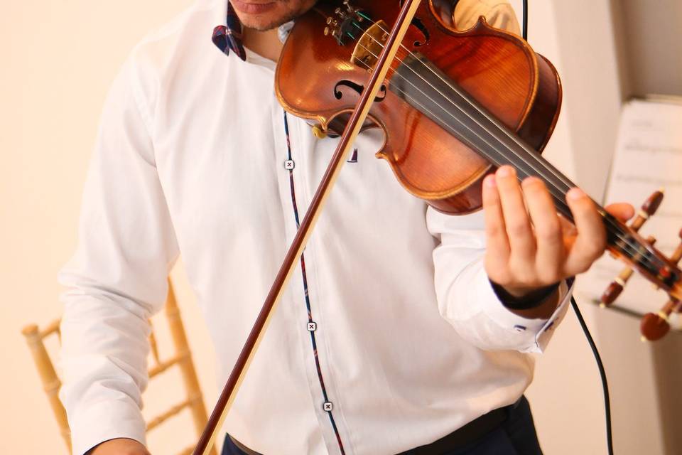 Violonist