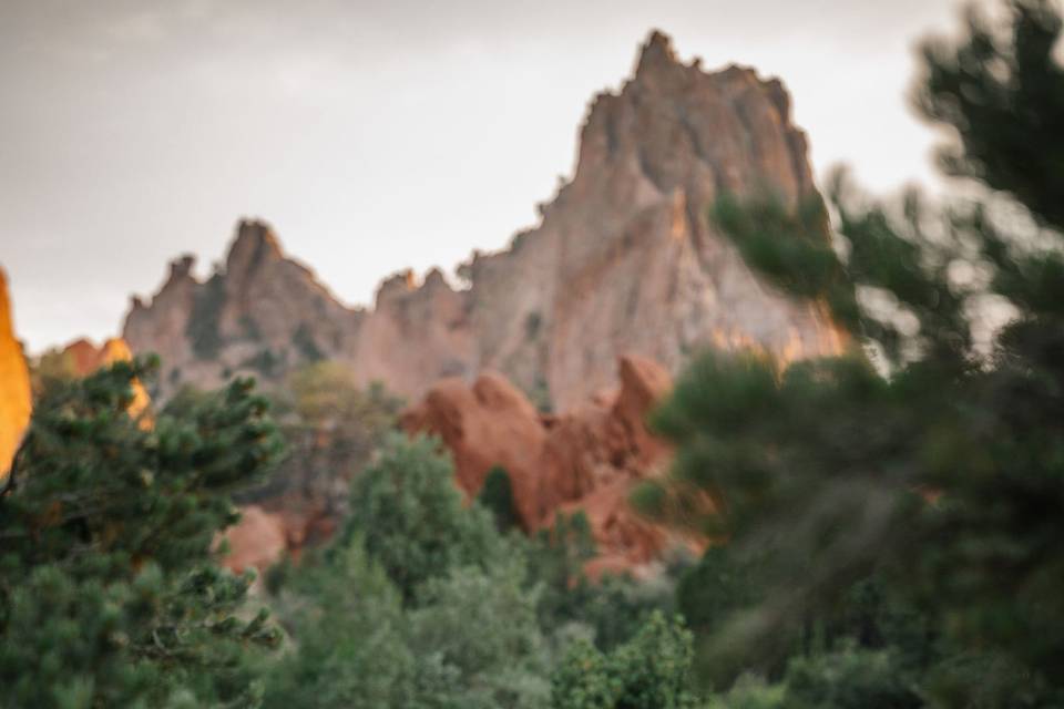 Debra Aslanidis Photography