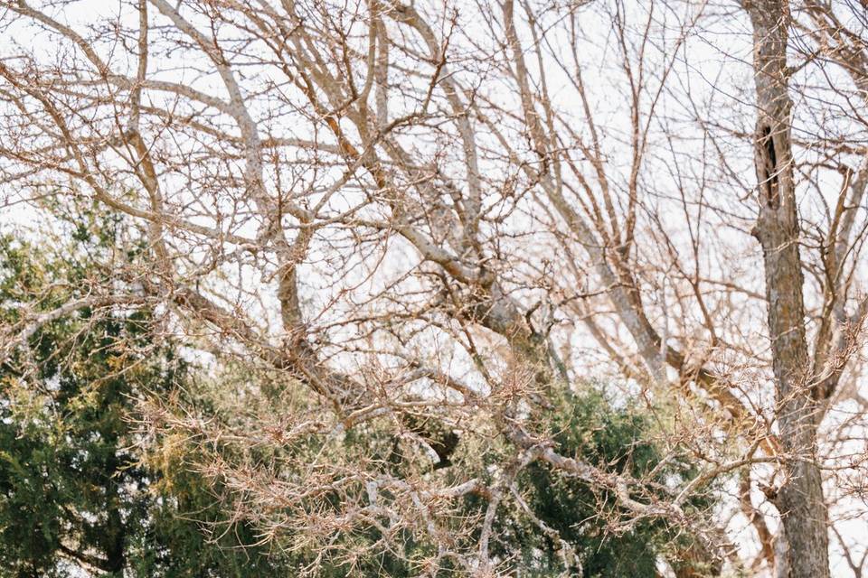 Debra Aslanidis Photography