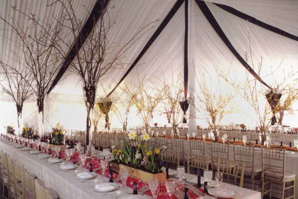 Sugarplum Tent Company