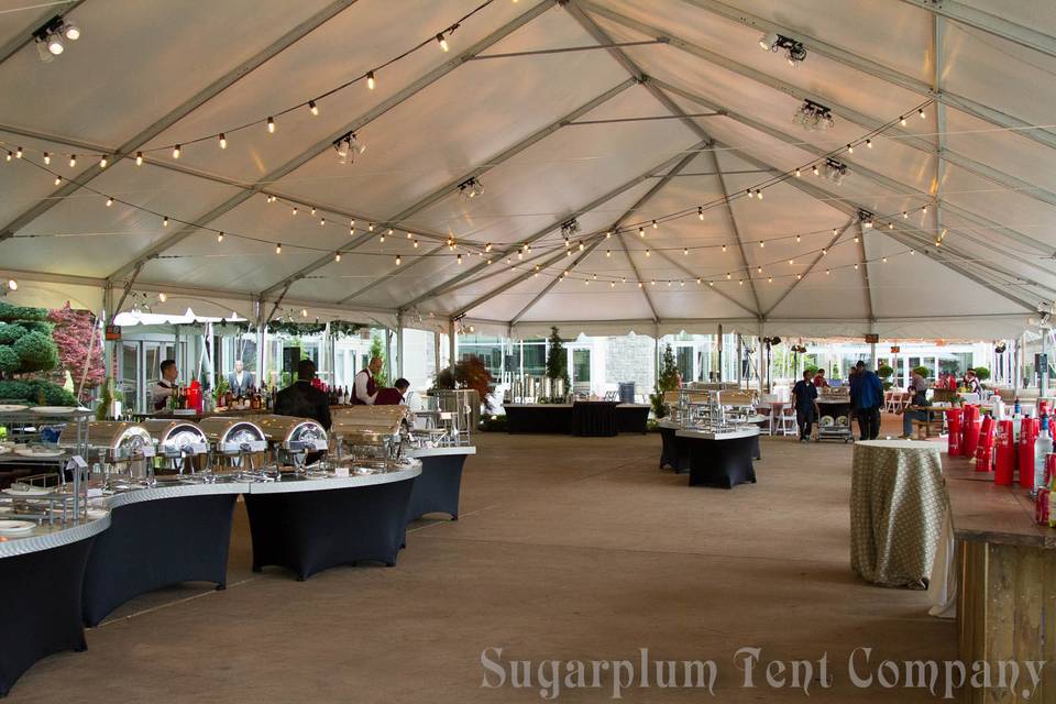 Large corporate event
