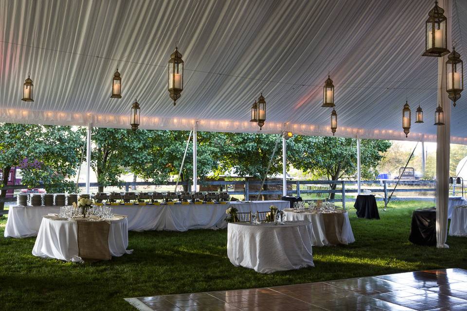 Sailcloth with Sunny Lanterns