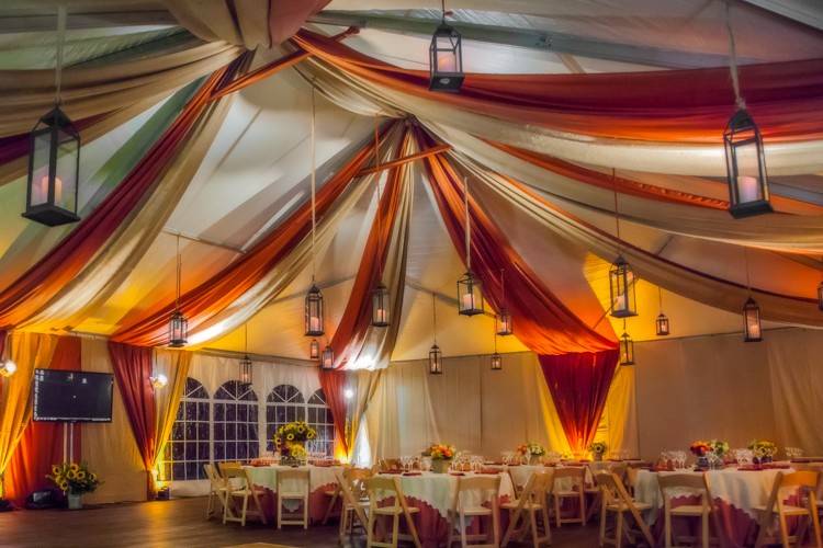 Bistro lights/Clear tent/Swags