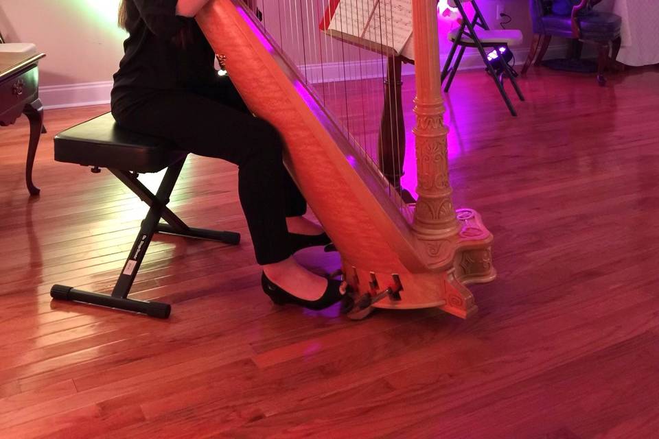 Harpist Joanna Rose