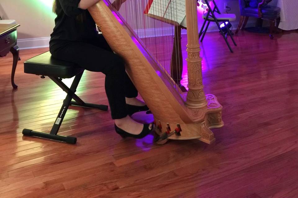 Harpist and vocalist