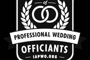 Professional Wedding