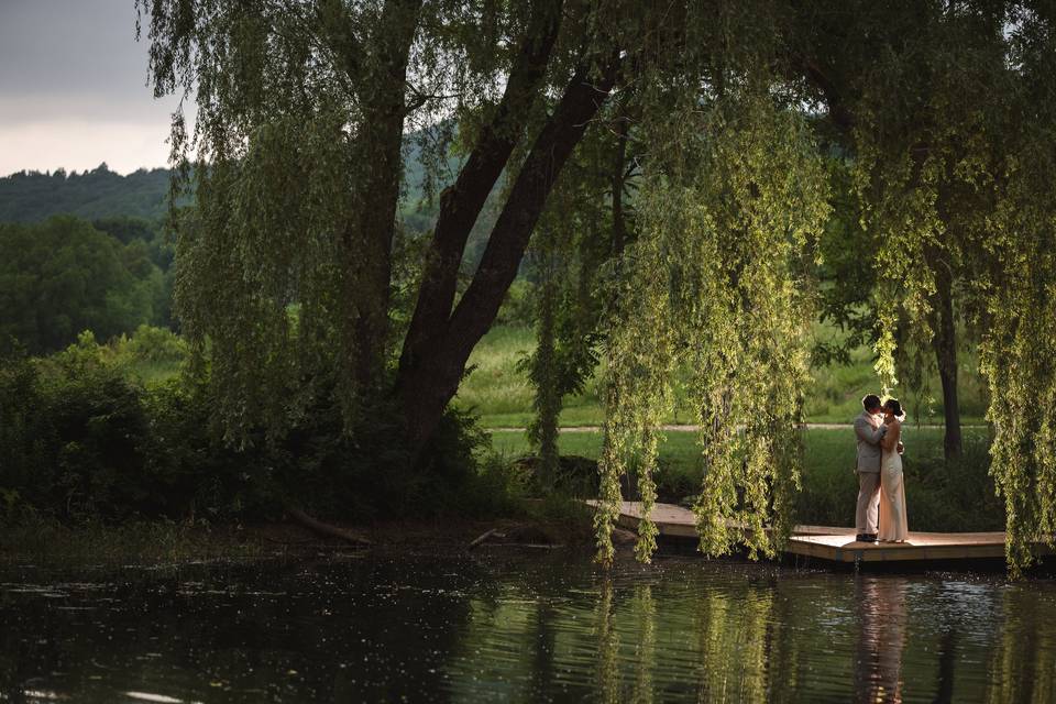 Willow window