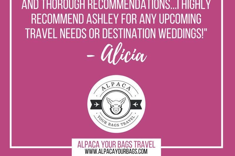 Alpaca Your Bags Travel