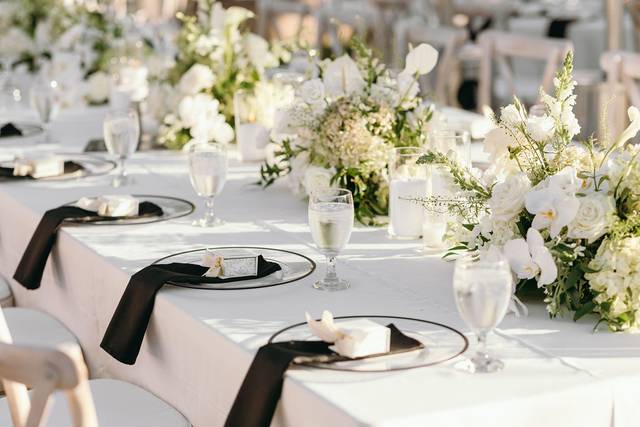 Mount Palomar Reception