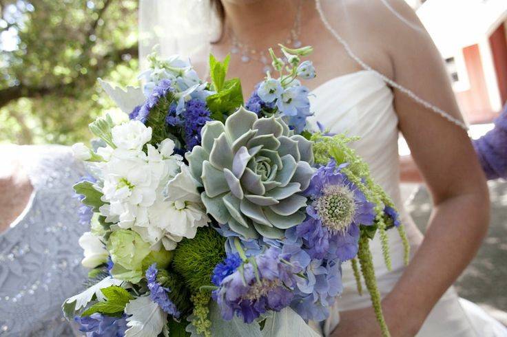 Peacock feathers and jewel tone inspired wedding in the Redwoods of California.