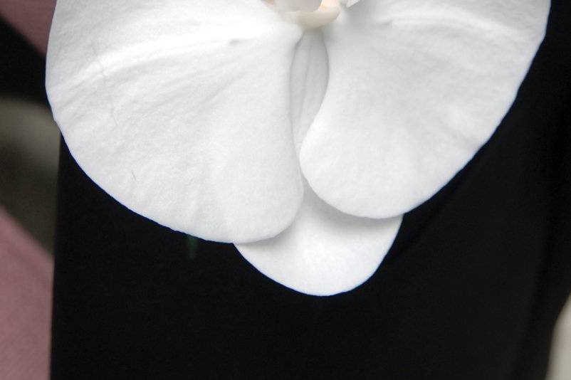 A. Thatcher Photography