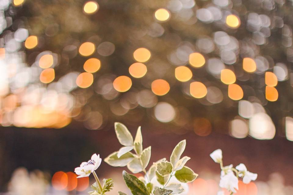 Charleston Wedding