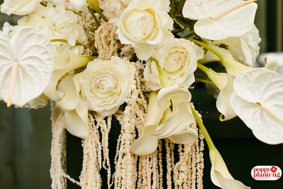Beautiful florals