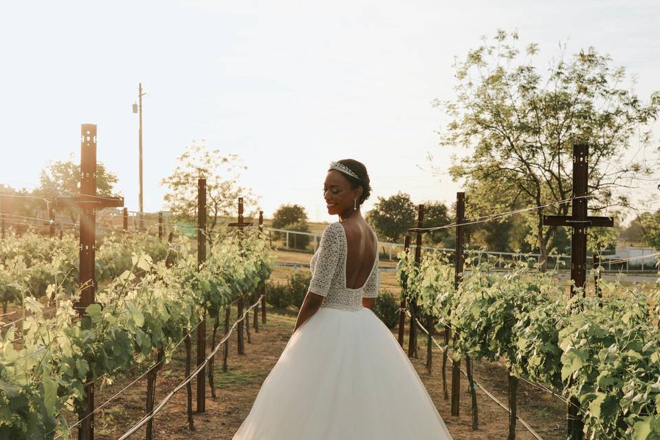 Vineyard Bride