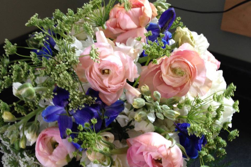 Clutch style bouquet of pink ranunculus, Queen Ann's Lace, larkspur and a hint of dark blue delphinium.