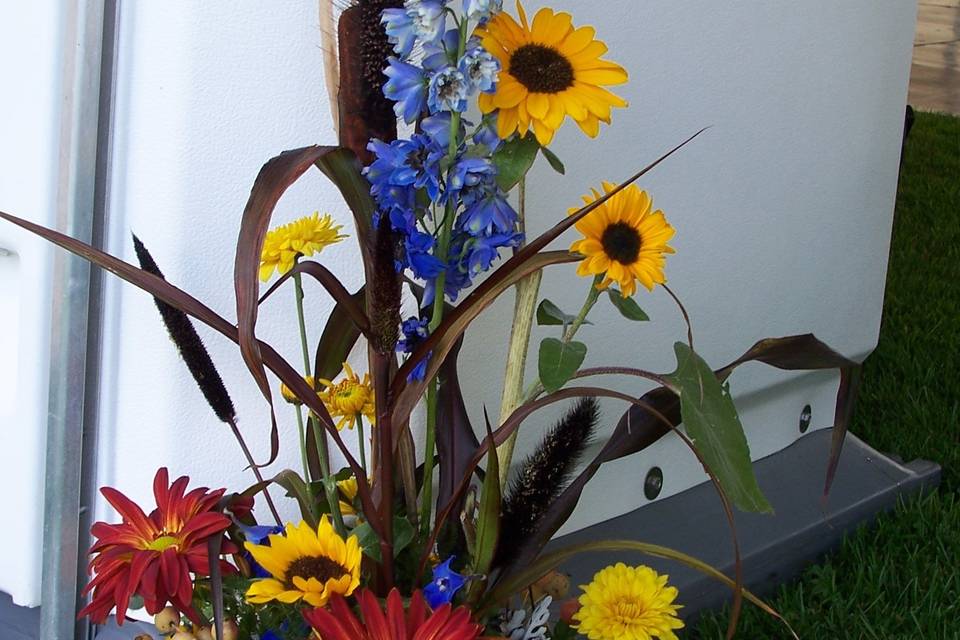 Sunflowers, millett, fall mums and delphinium arranged in a pumpkin for a fall wedding