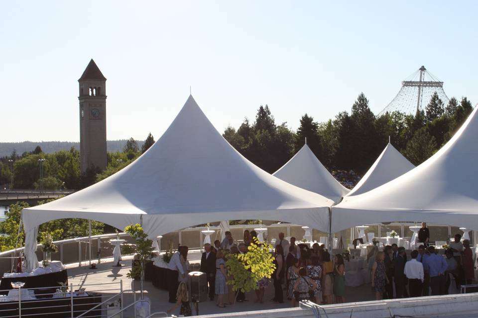 Reception and wedding space