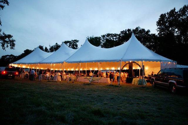Wedding reception