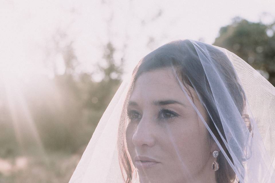 Veil detail