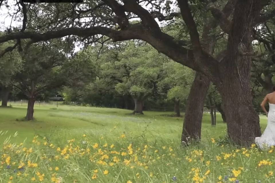 Austin wedding