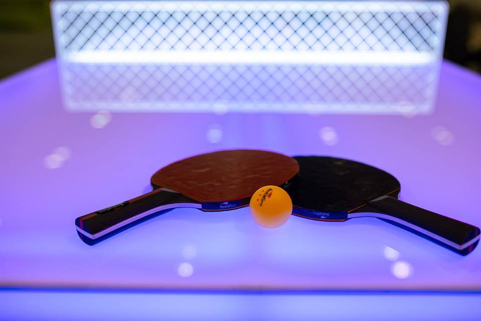 LED Battery PingPong Table