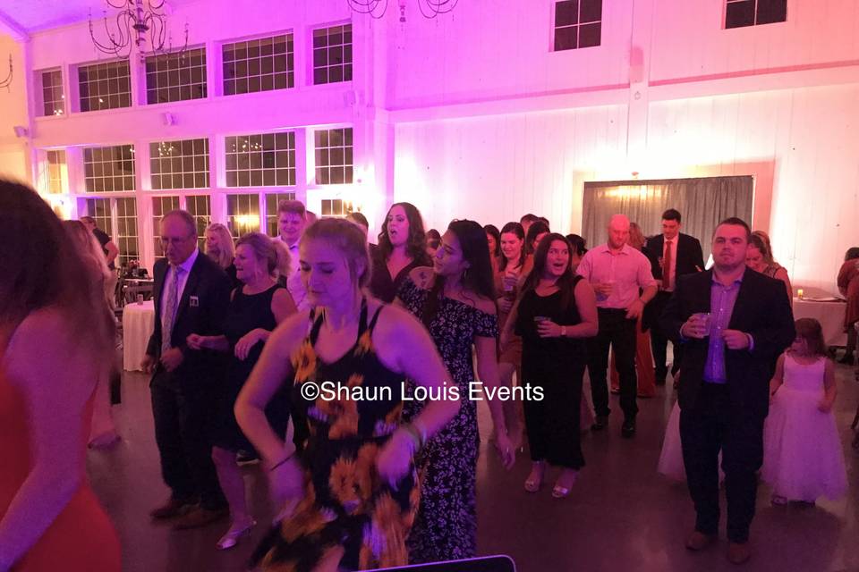 Shaun Louis Events = FUN!