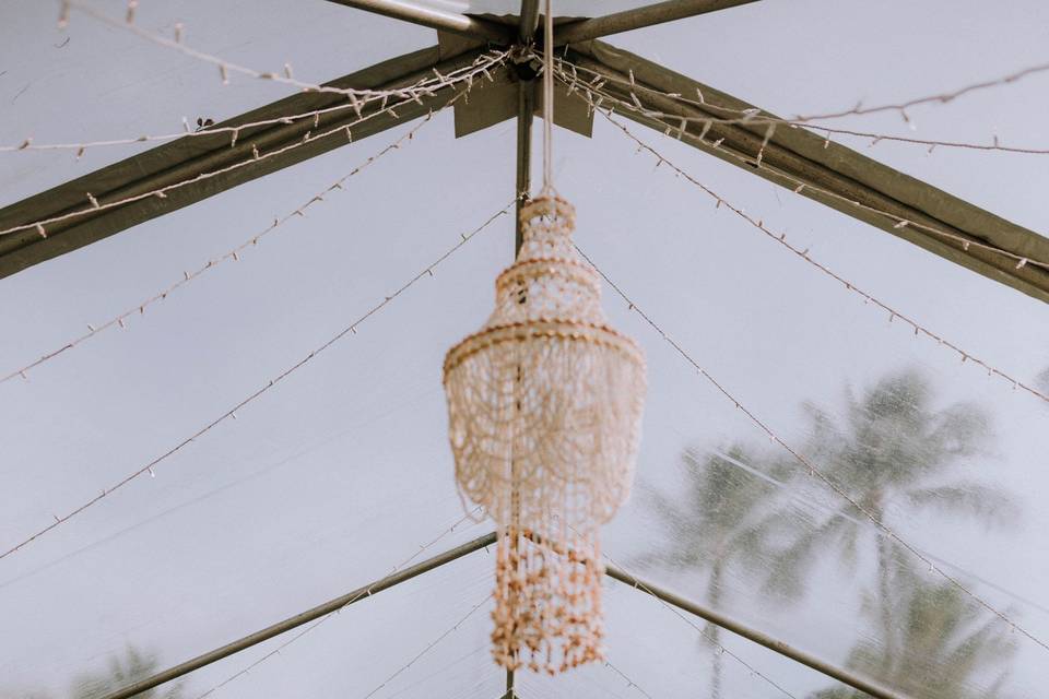 Hanging Shell Chandeliers