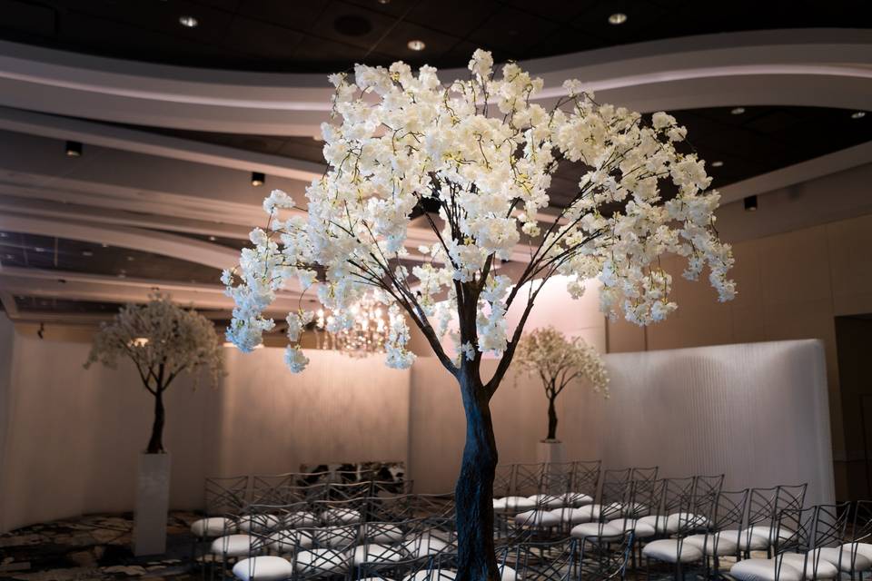 Indoor Ceremony