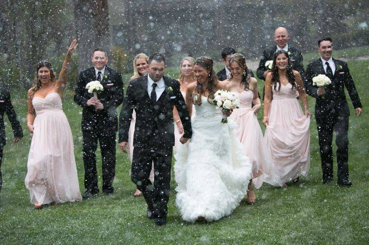 The couple with their bridesmaids and groomsmen