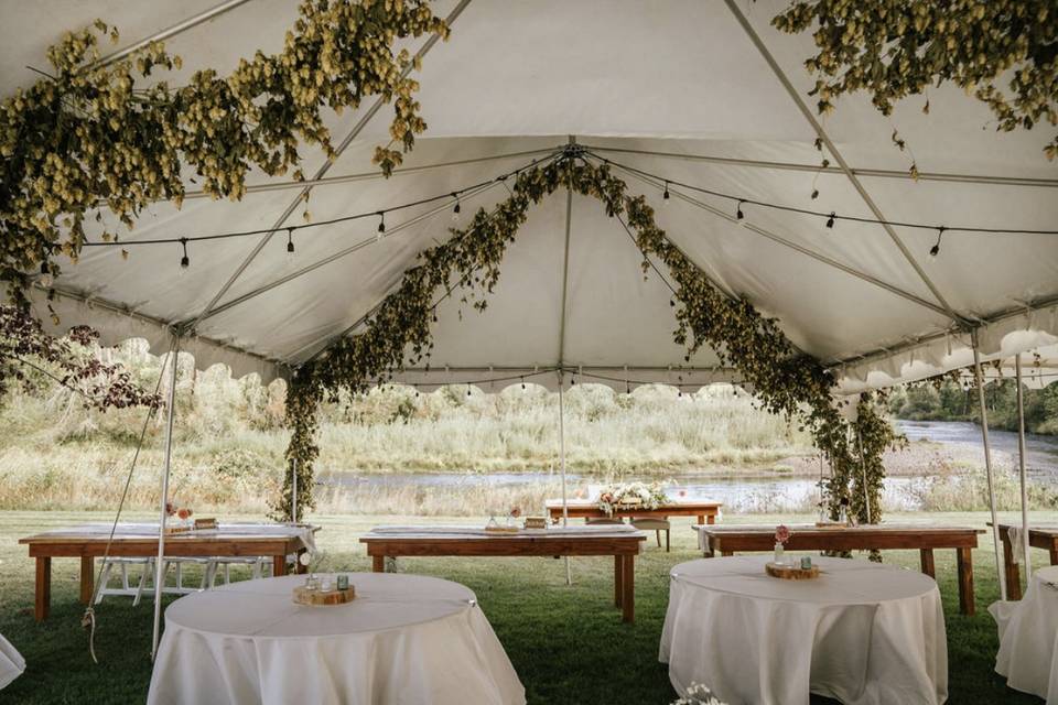 Tent set up