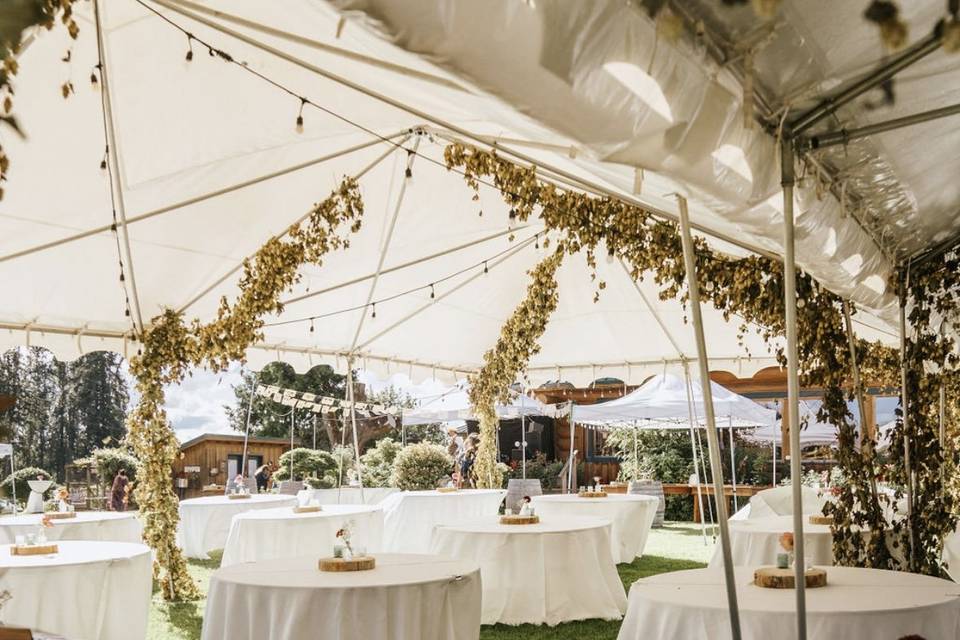 Tent set up