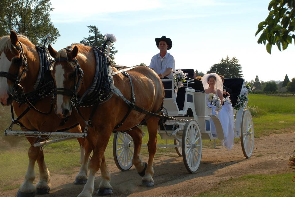 Bride by buggy