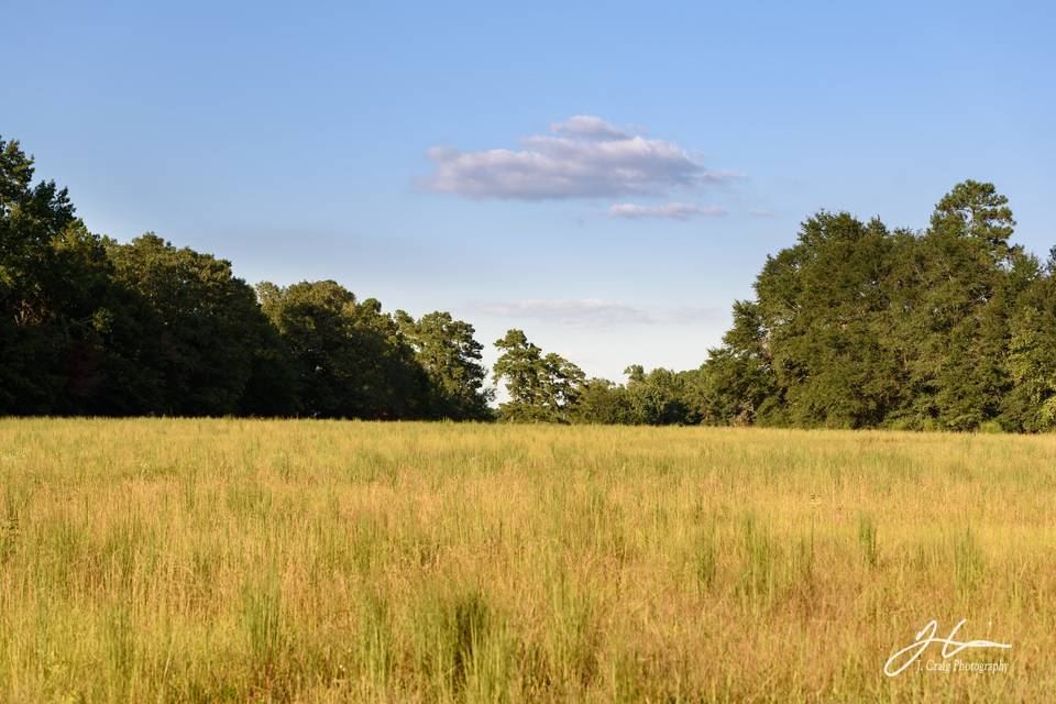 The Cabin at Old Spur