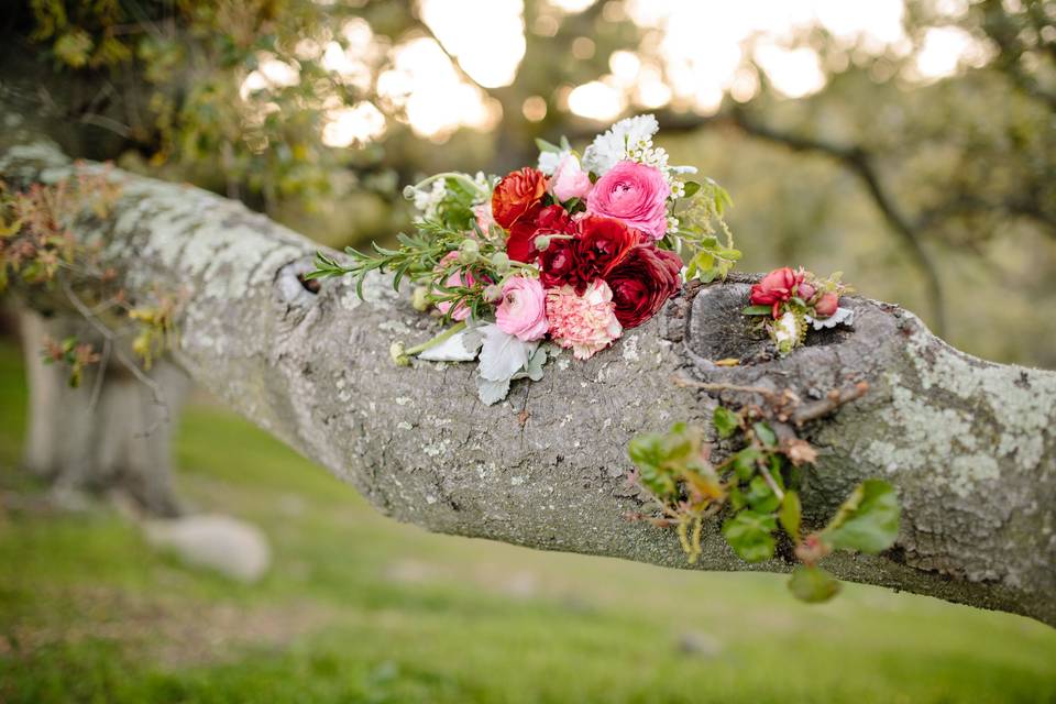 rustic wooden arch