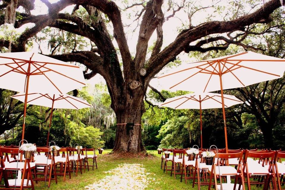 Forest wedding setup