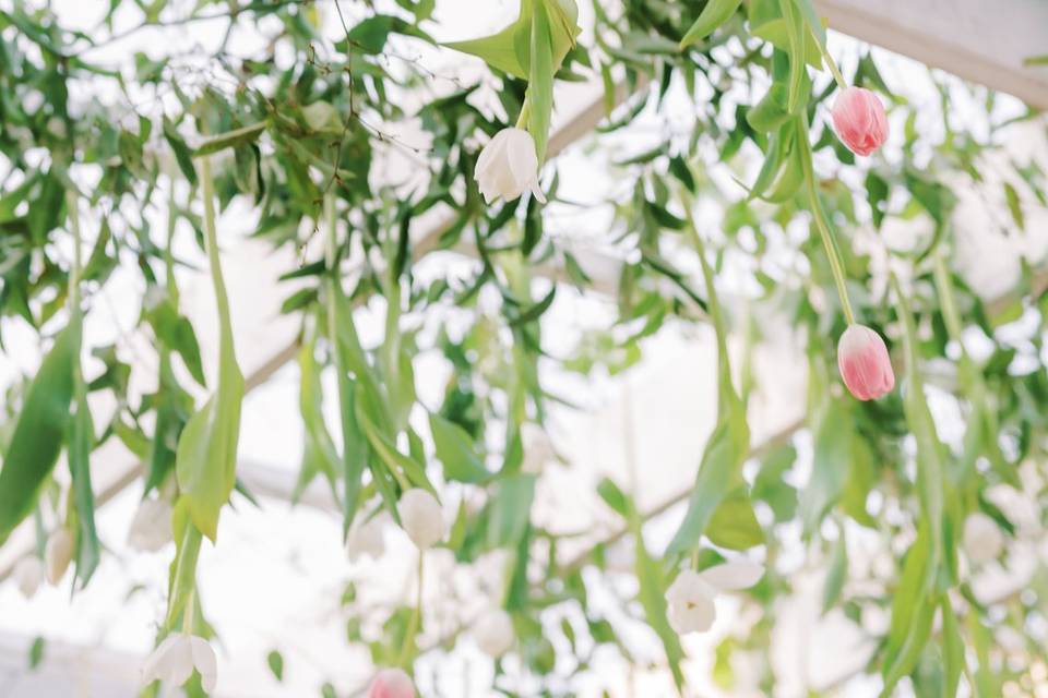 Smilax and Tulip ceiling arch