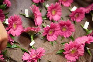 Pink flowers