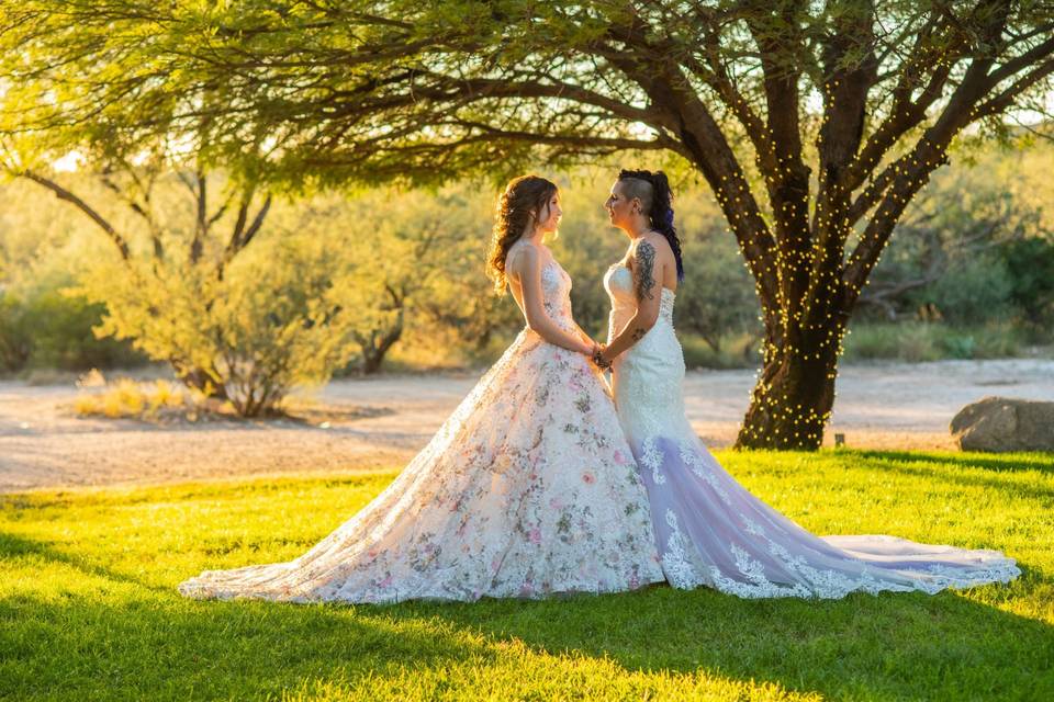 Brides at Saguaro Buttes