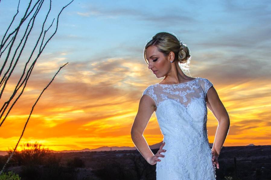 Elegant bride