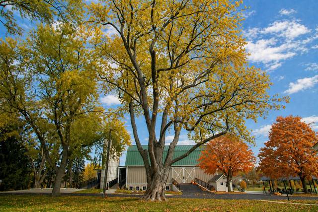Barn side view in fall