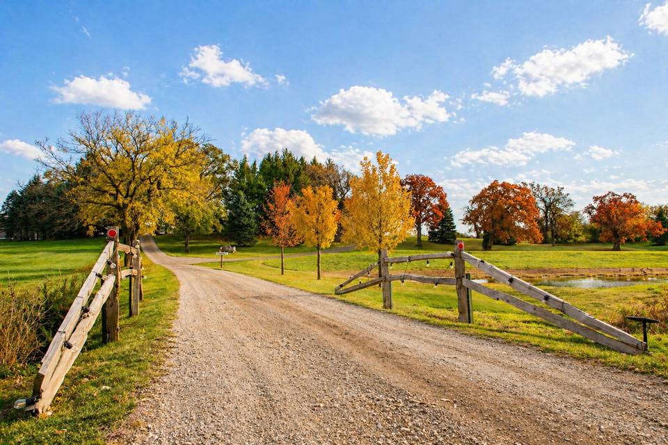 Driveway
