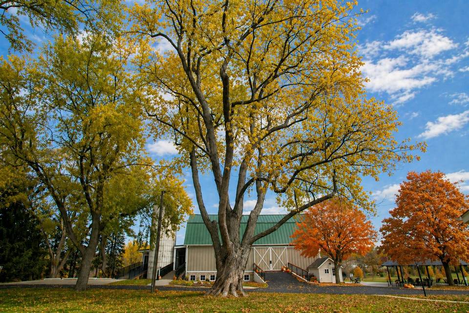 Barn side view in fall