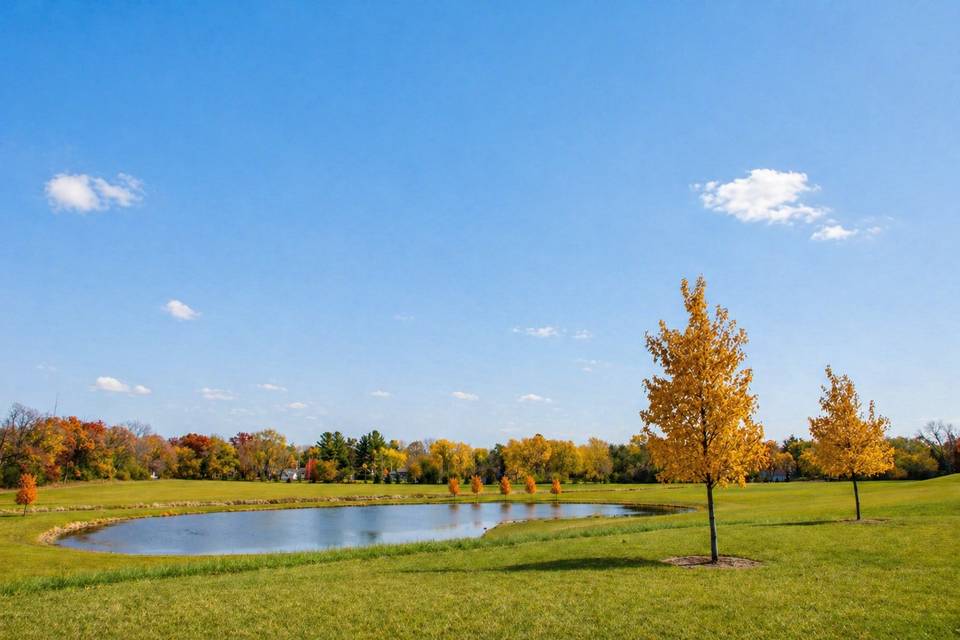 Pond view