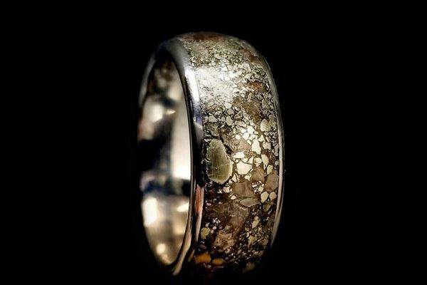 Spike - Stegosaurus Fossil & Pyrite Ring - Wedding Band