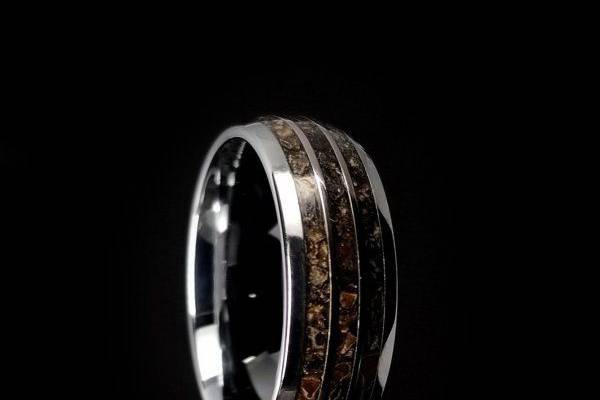 Cera - Triceratops fossil inlaid - Wedding Band