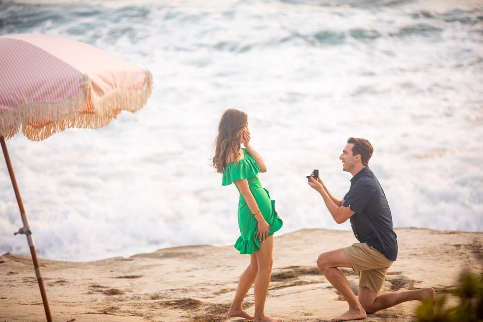 Proposal on the Beach