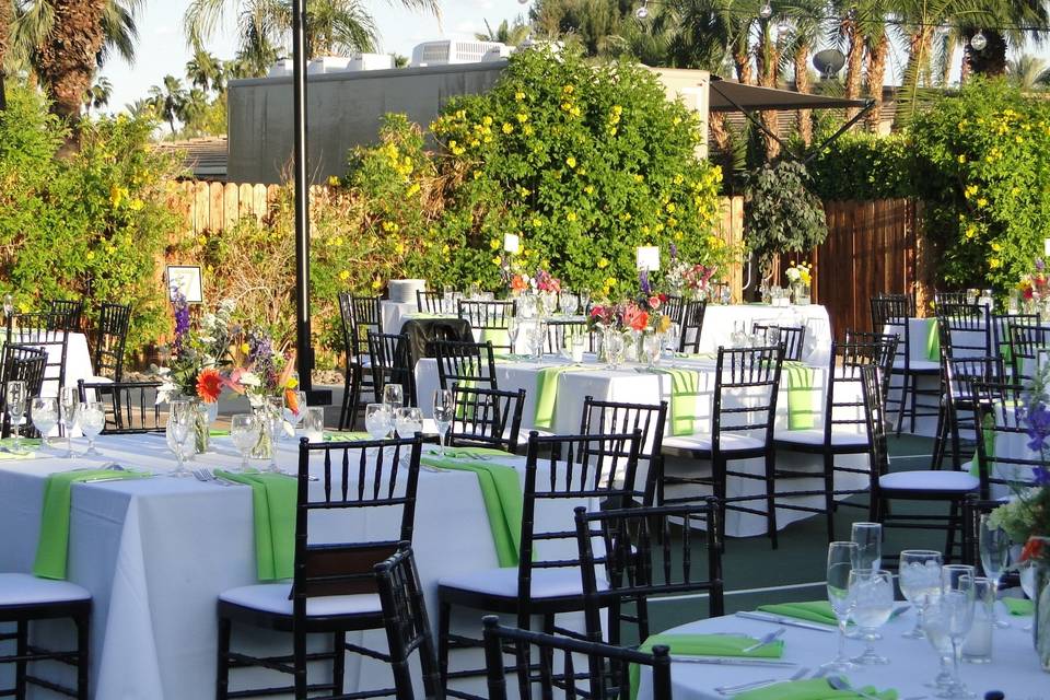 Table setup with centerpiece