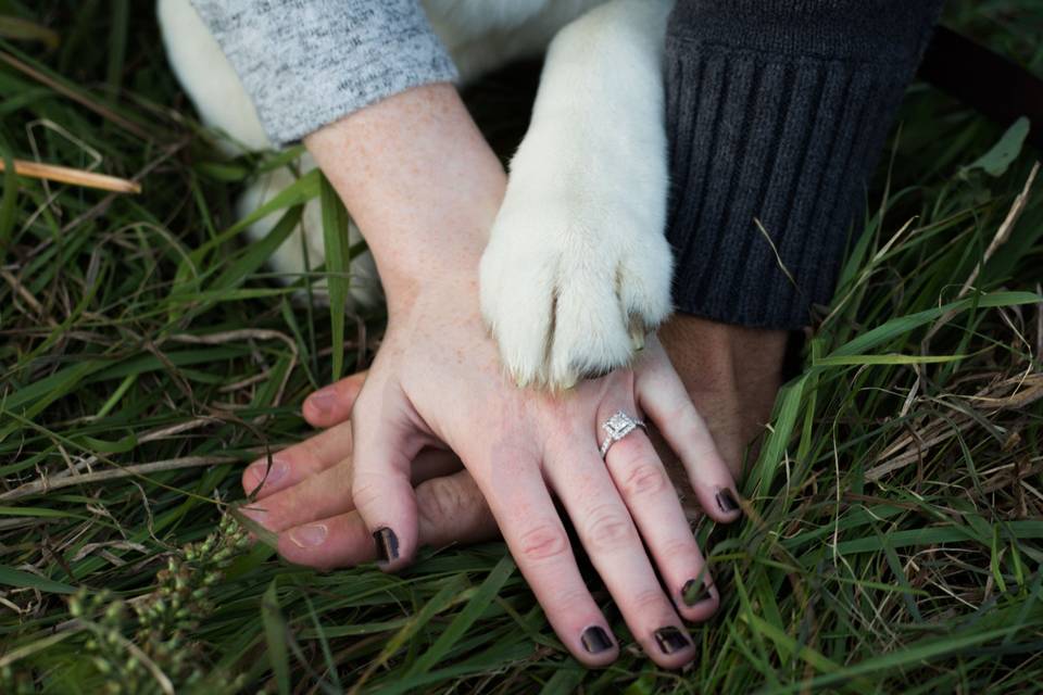 Engagement Portrait