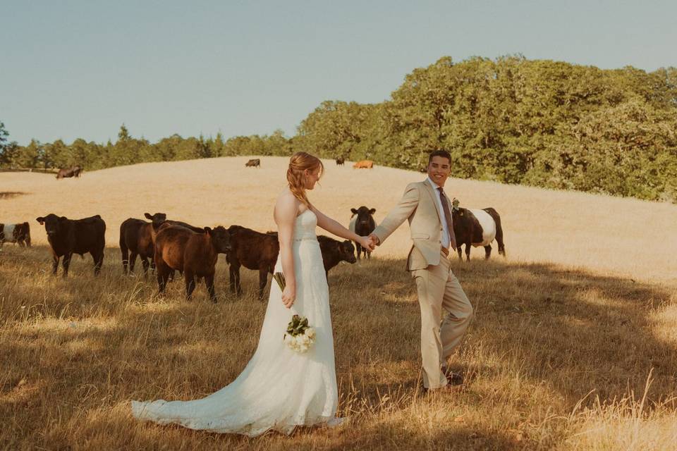 Bridal portraits with cows