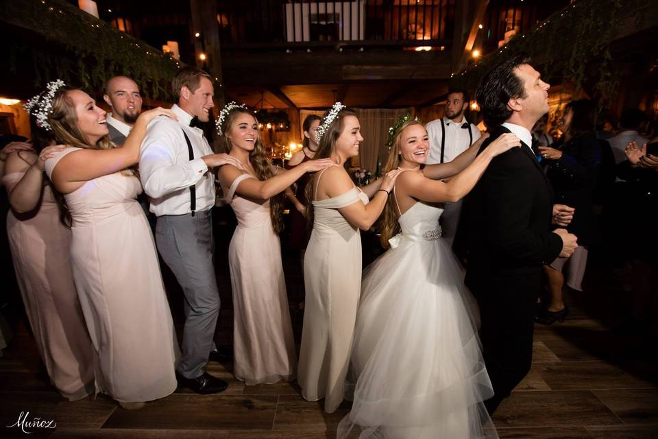 Guests and newlyweds line dancing